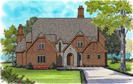 Luxury Plans color elevation.