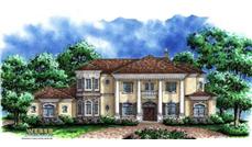 Color Rendering of this house plan