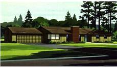 Color Rendering to these house plans