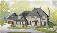 This is an artist's perspective of these wonderful Fench Homeplans.