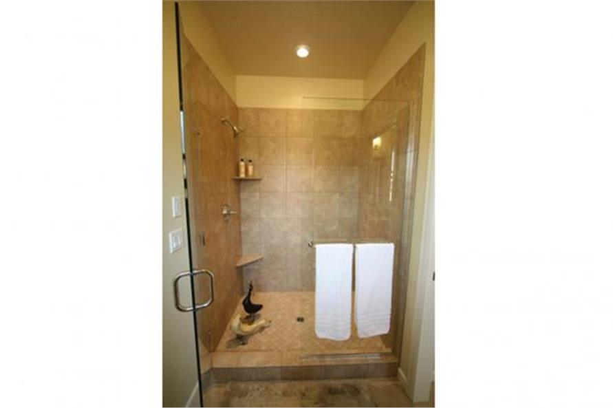 108-1718: Home Interior Photograph-Master Bathroom
