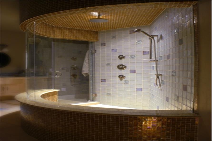 161-1038 master bath shower
