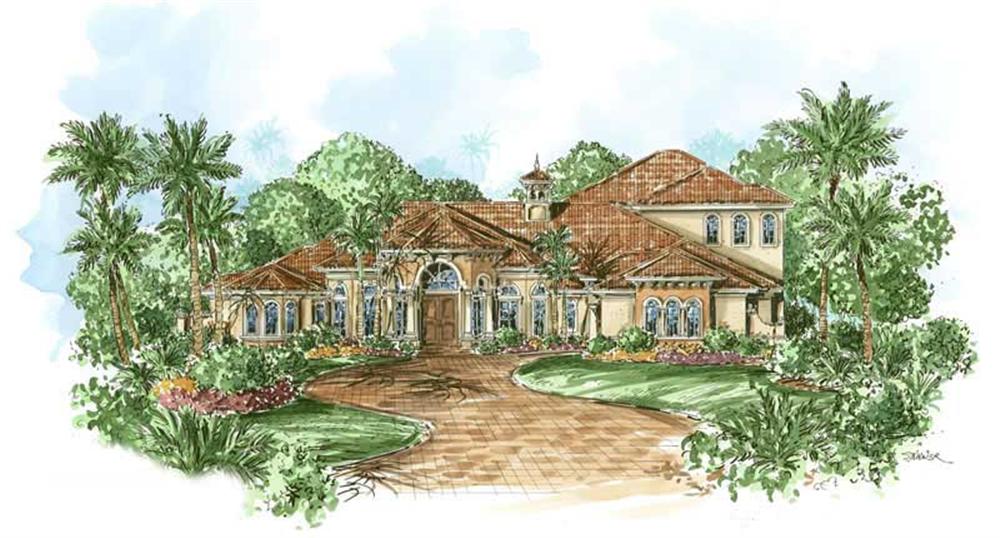This image shows the courtyard entry for these Luxury Plans, Mediterranean Home Plans, Florida Designs.
