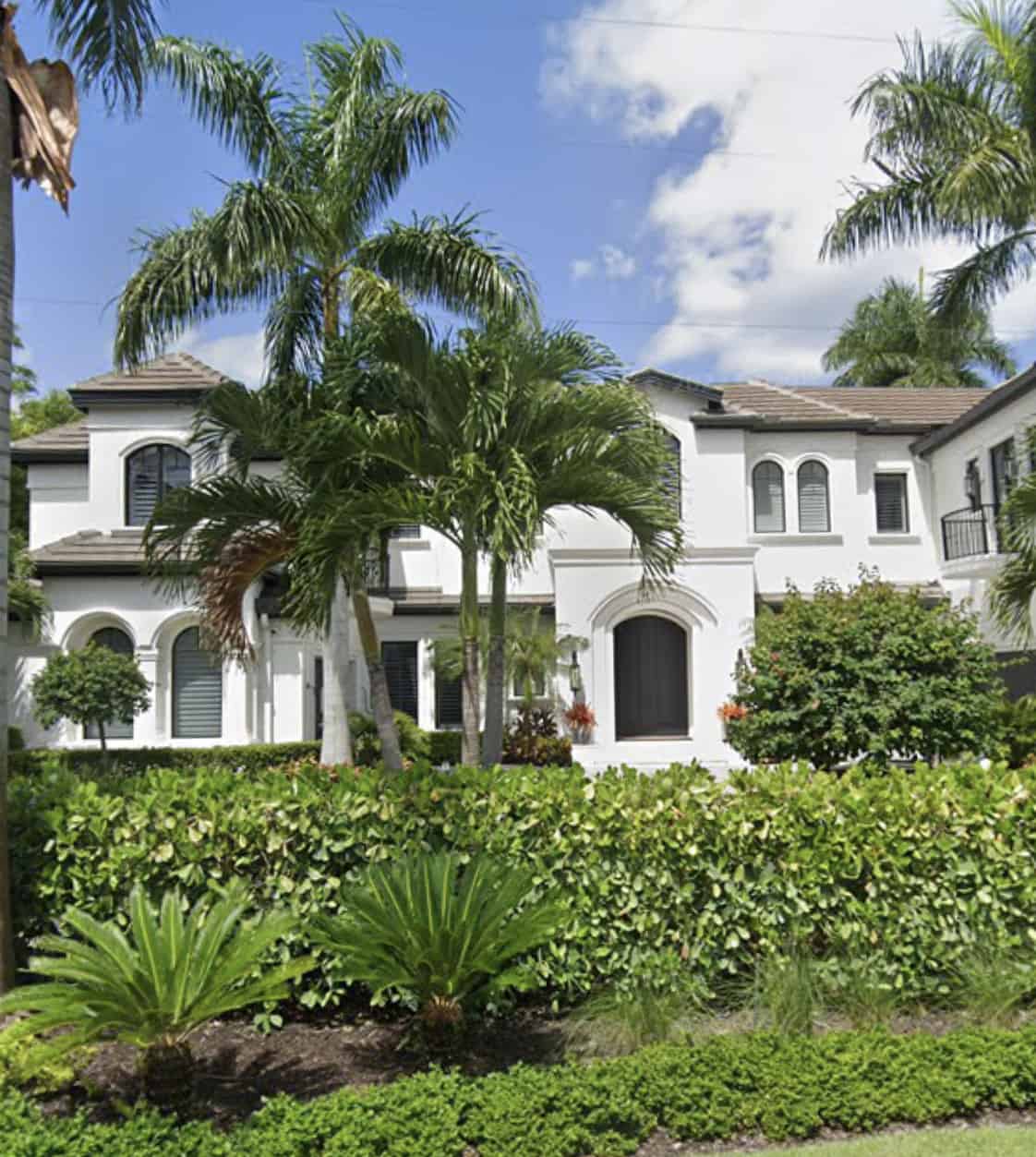 Landscaping: Garden of this 6-Bedroom,8931 Sq Ft Plan -219-1006