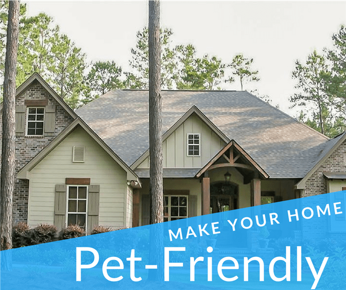 Lovely 1-story home illustrating article on how to make your home pet friendly