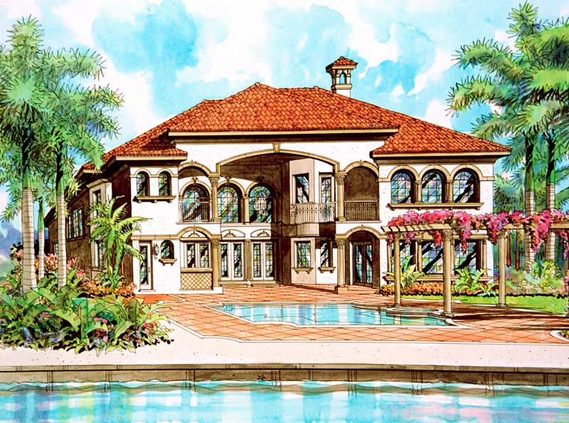 Rear Elevation