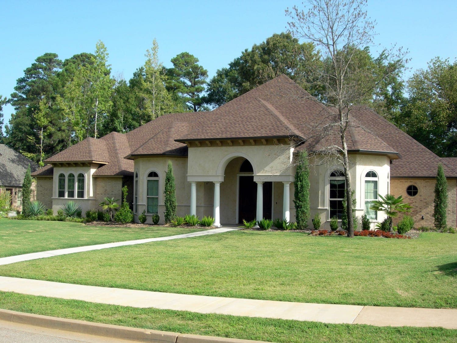 Right Side View