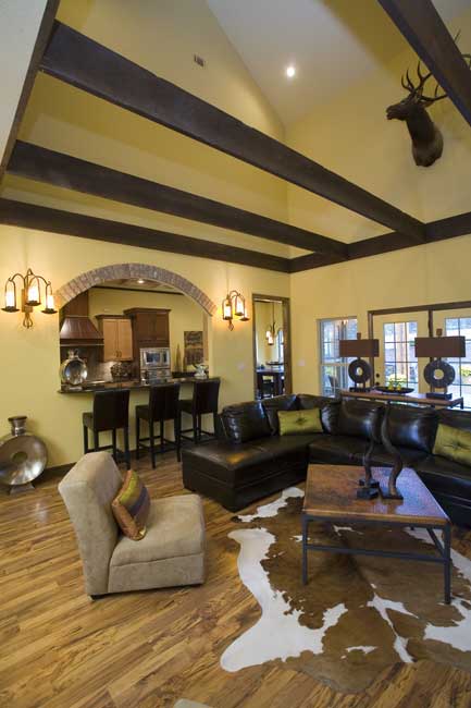 Great Room: Ceiling