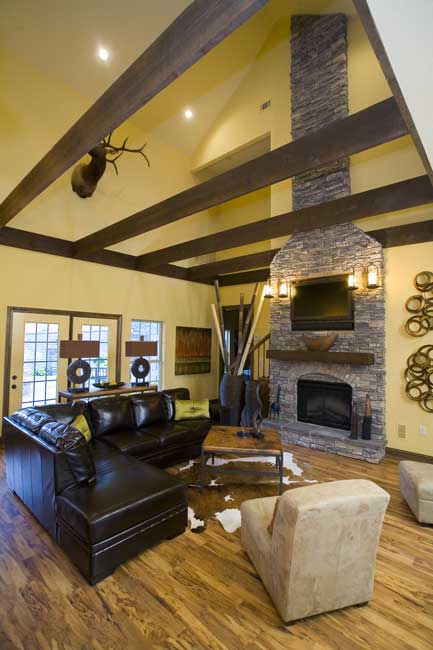 Great Room: Fireplace