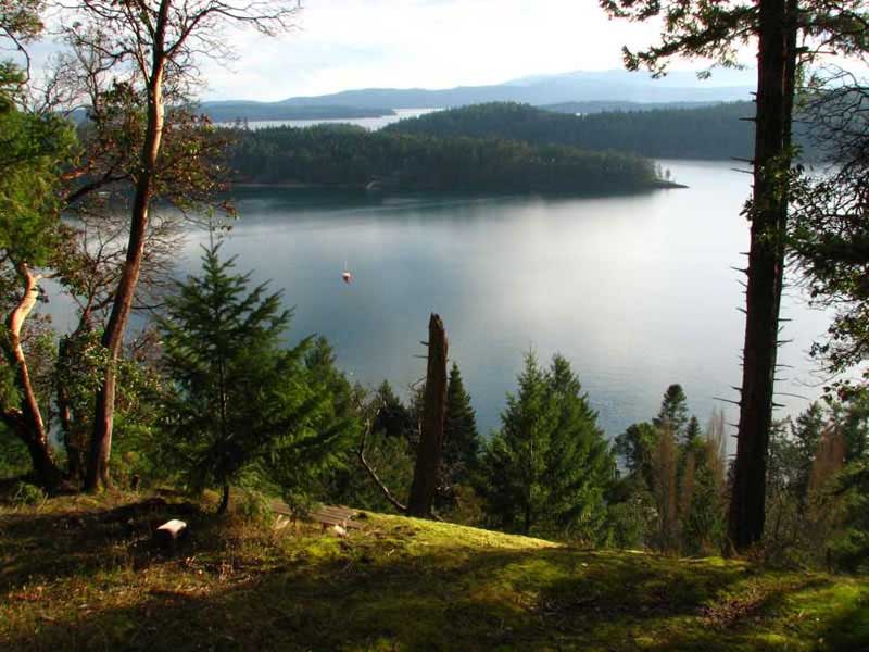 Water View From Deck